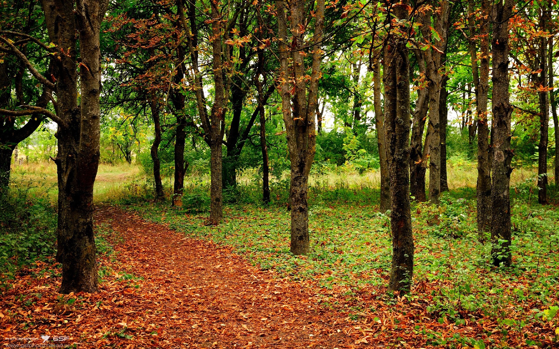 开云体育移动版-_环保能源滑车：绿色动力带来夏日清凉_，环滑车是什么