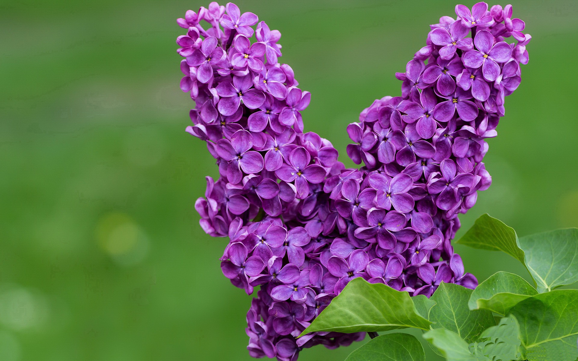 开云电竞平台-“经典对决：那些岁月里的巅峰比拼”，经典对应什么