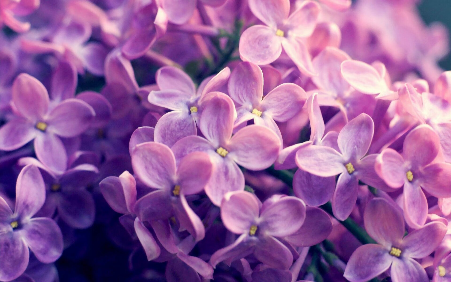 开云体育移动版-全国青训“超级联赛”盛大开启，推动青少年成长新跃迁，全国青年联赛田径