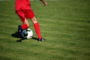 开云真人体育娱乐-女子足球裁判员培训体系完善提升赛事判罚质量，足球女裁判搞笑视频